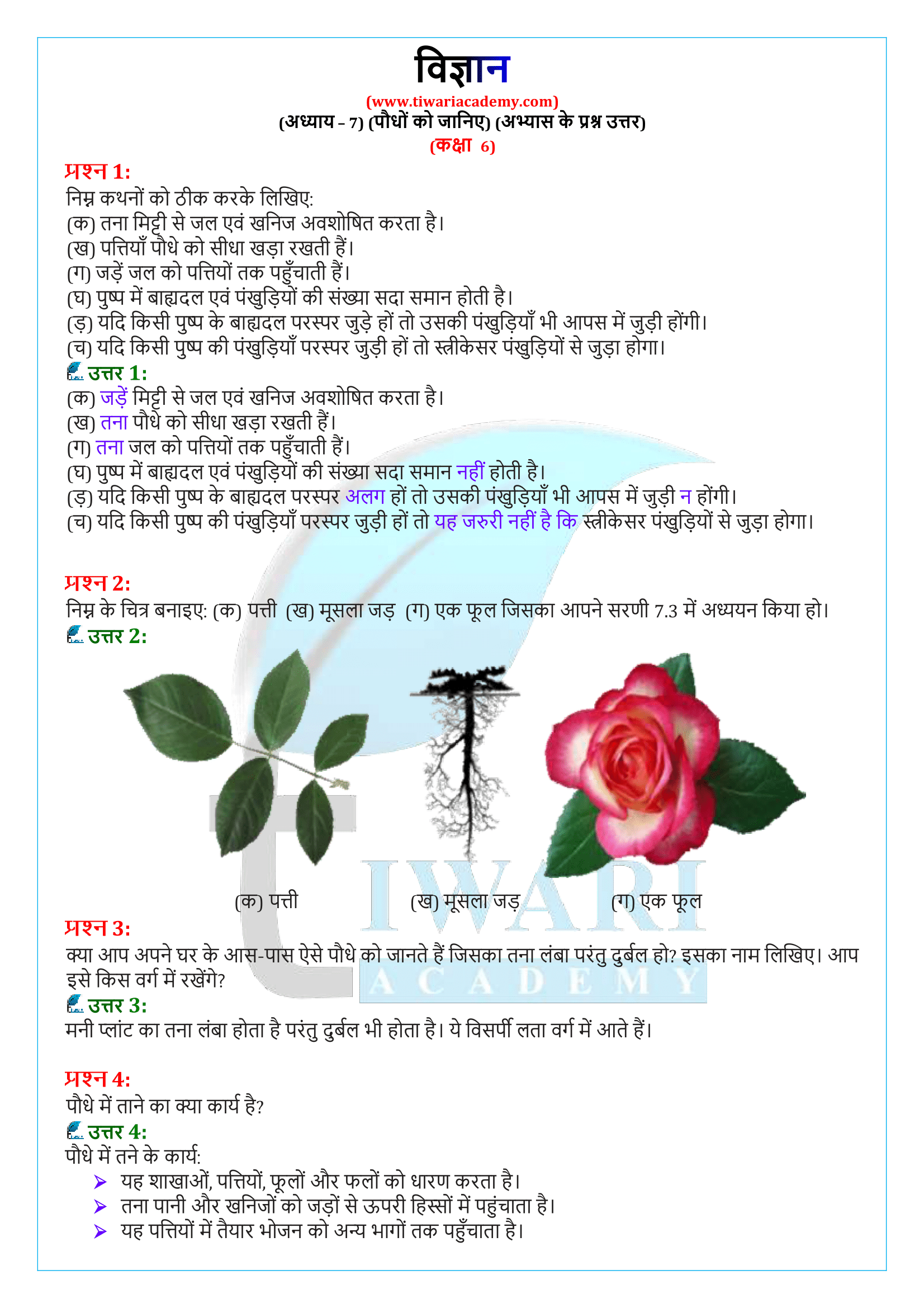 कक्षा 6 विज्ञान अध्याय 7: पौधो को जानिए