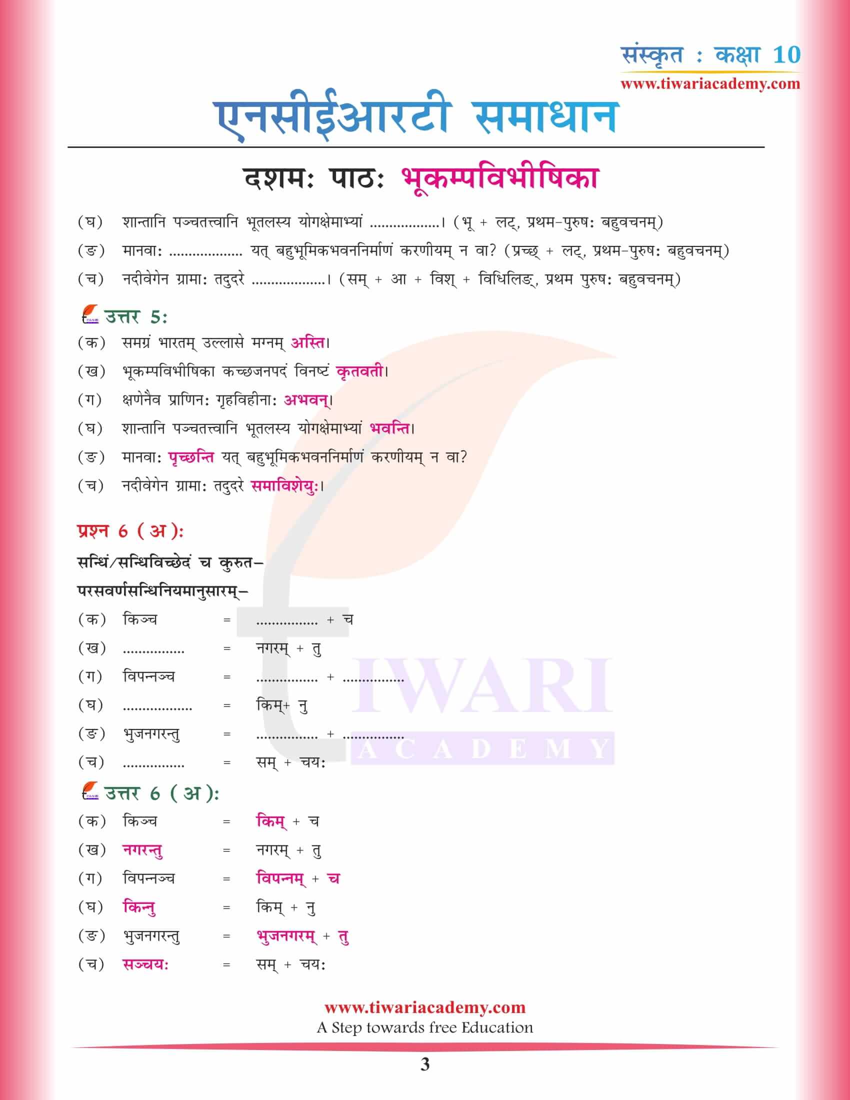 कक्षा 10 संस्कृत अध्याय 10 हिंदी में समाधान