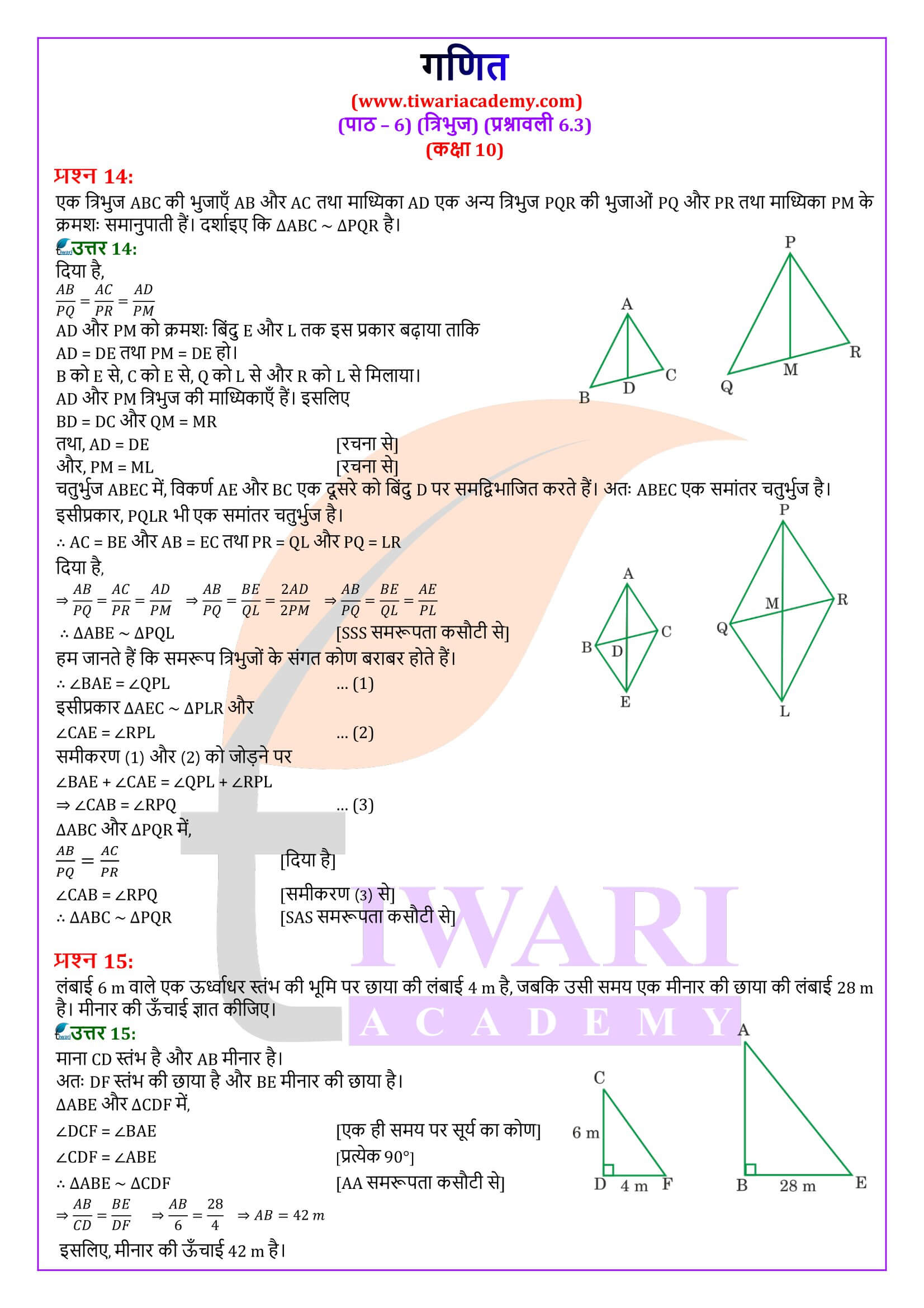 कक्षा 10 गणित प्रश्नावली 6.3 हिंदी में