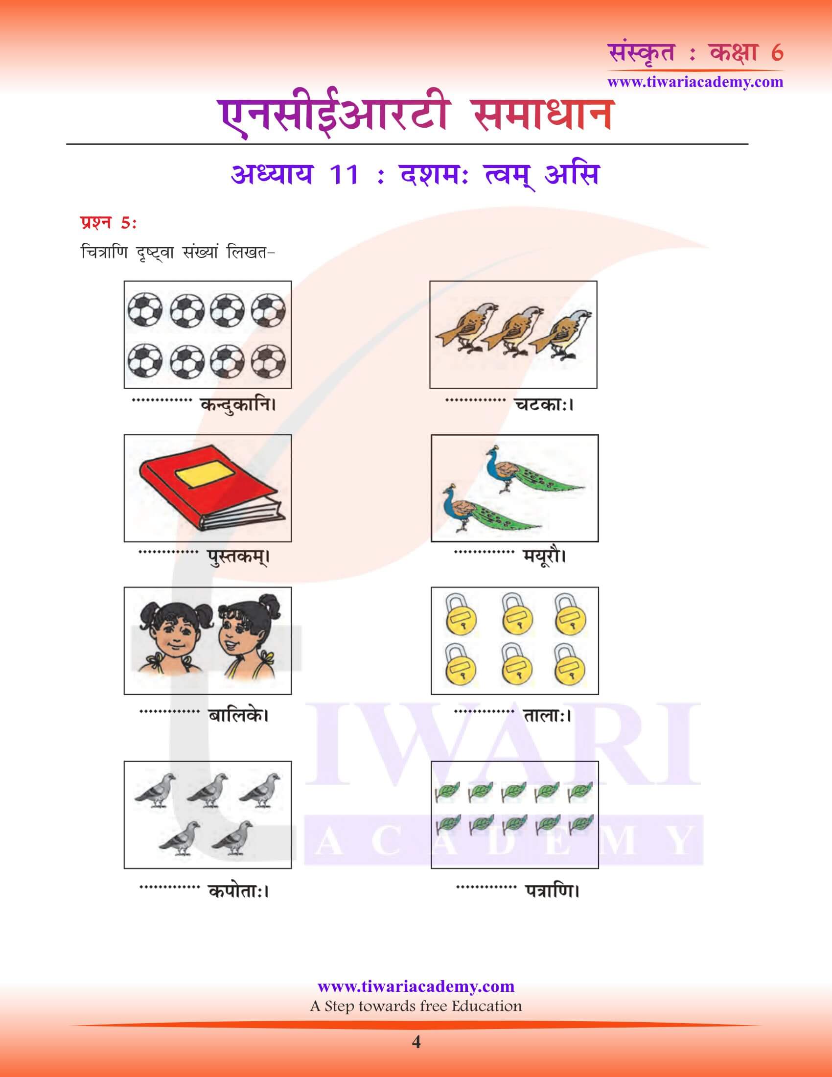 कक्षा 6 संस्कृत पाठ 11 अभ्यास के प्रश्न उत्तर