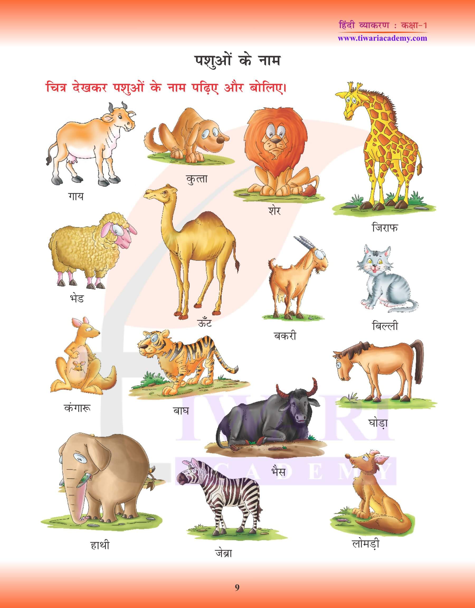 कक्षा 1 के लिए हिंदी व्याकरण में संज्ञा के उदाहरण