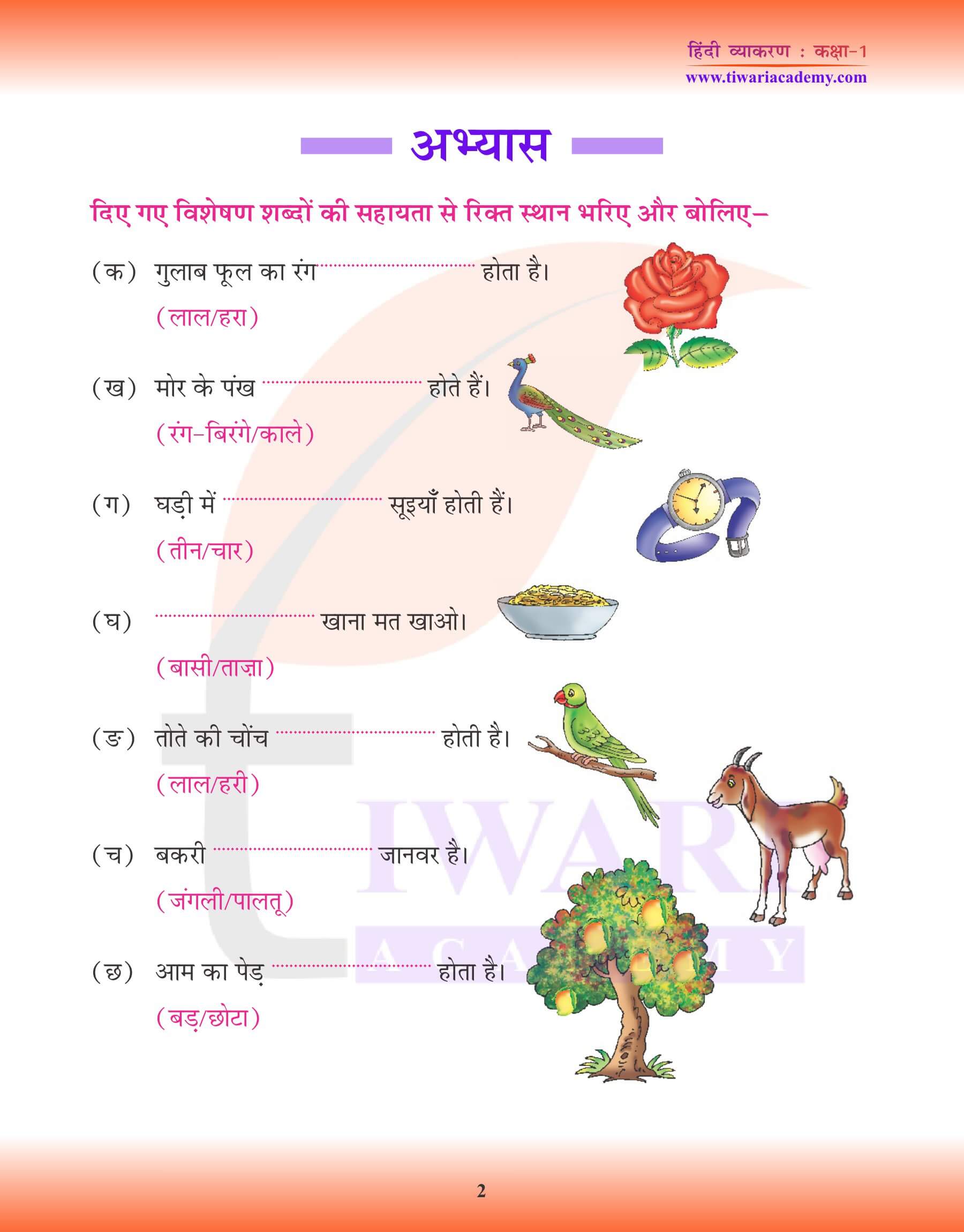 कक्षा 1 हिंदी व्याकरण में विशेषण
