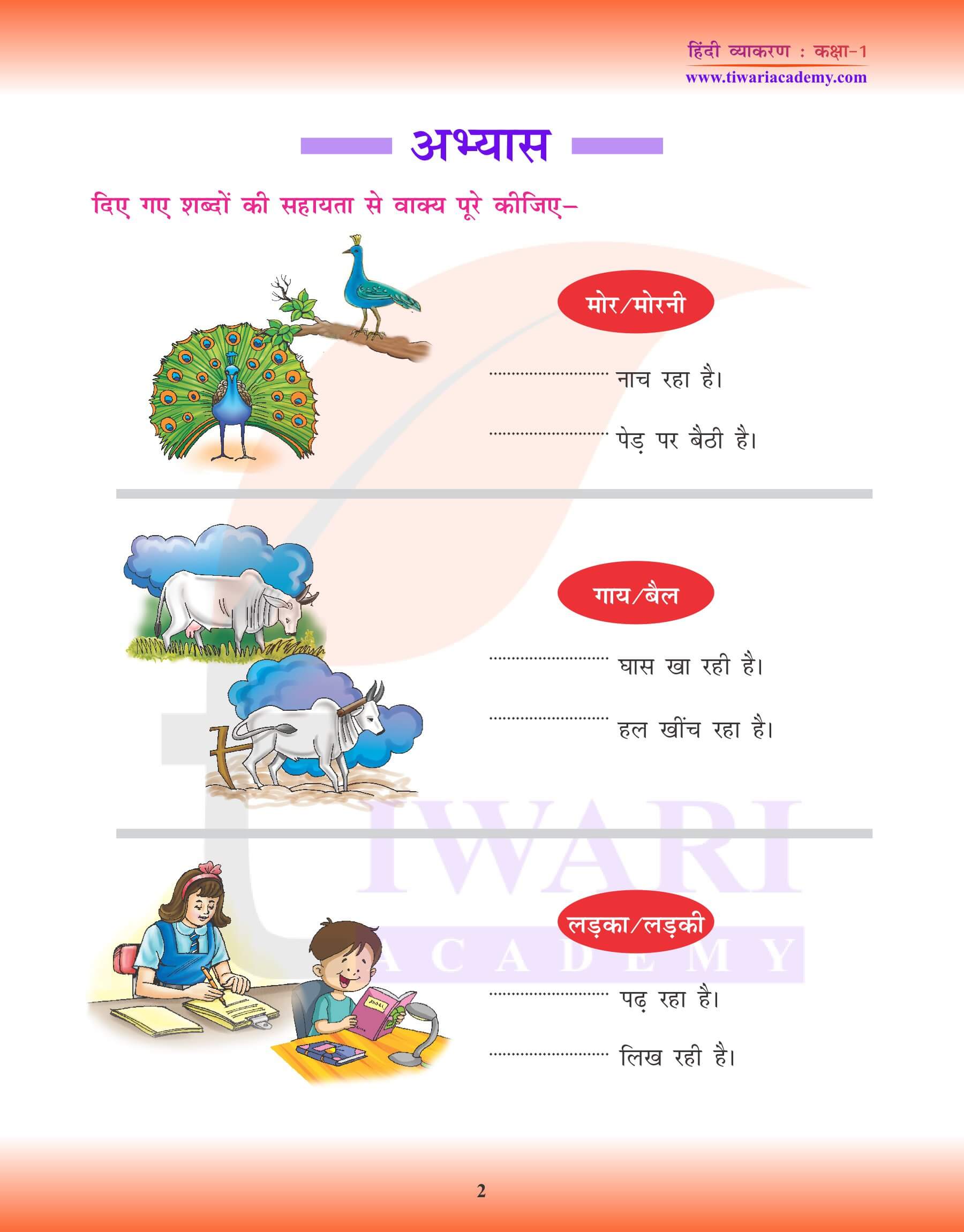 कक्षा 1 हिंदी व्याकरण में लिंग