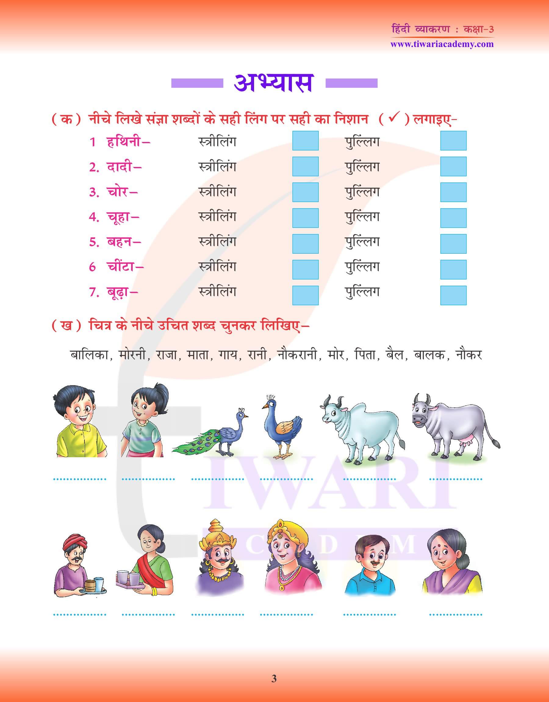 कक्षा 3 हिंदी व्याकरण में लिंग