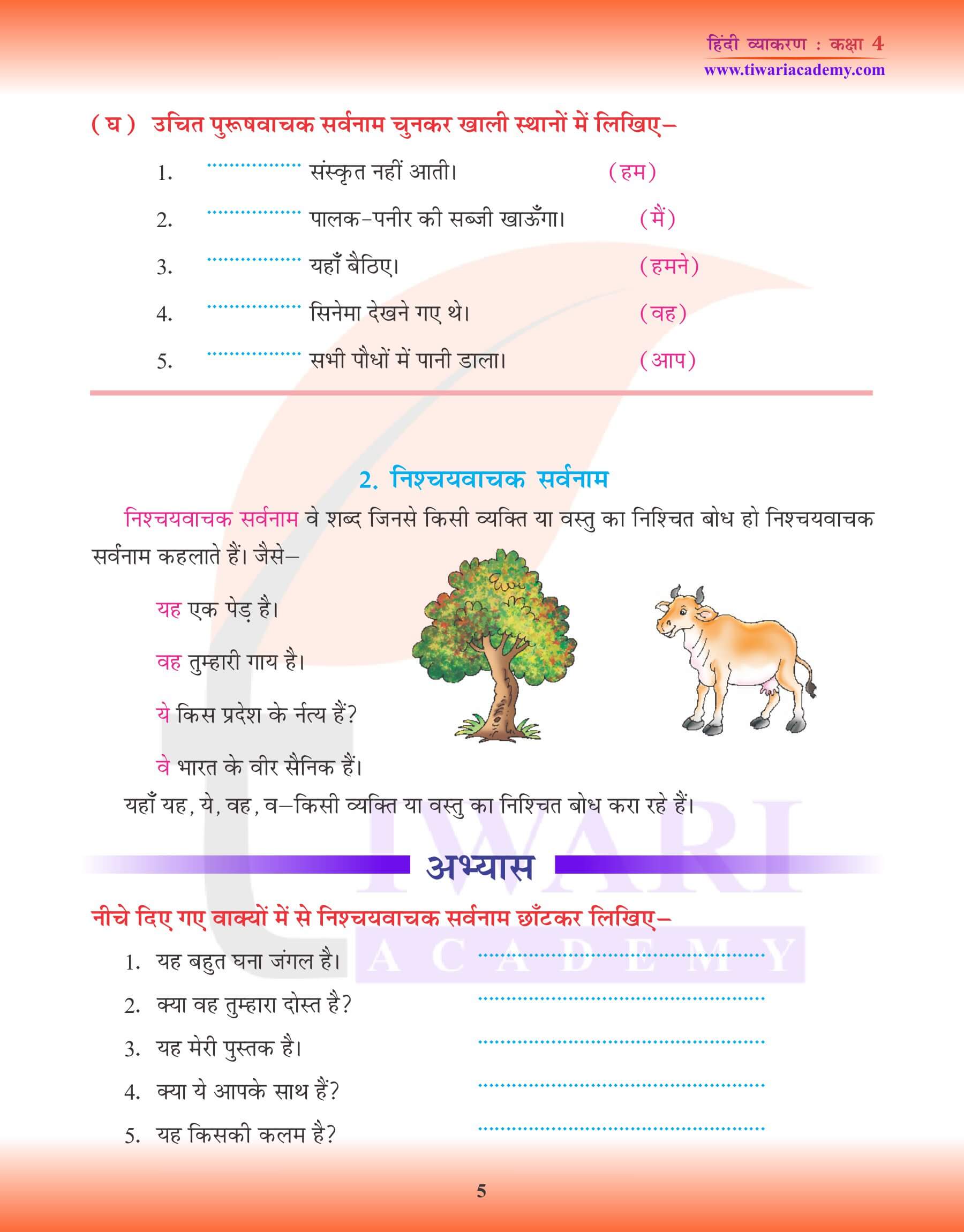 कक्षा 4 हिंदी व्याकरण पाठ 8 सर्वनाम के लिए अभ्यास