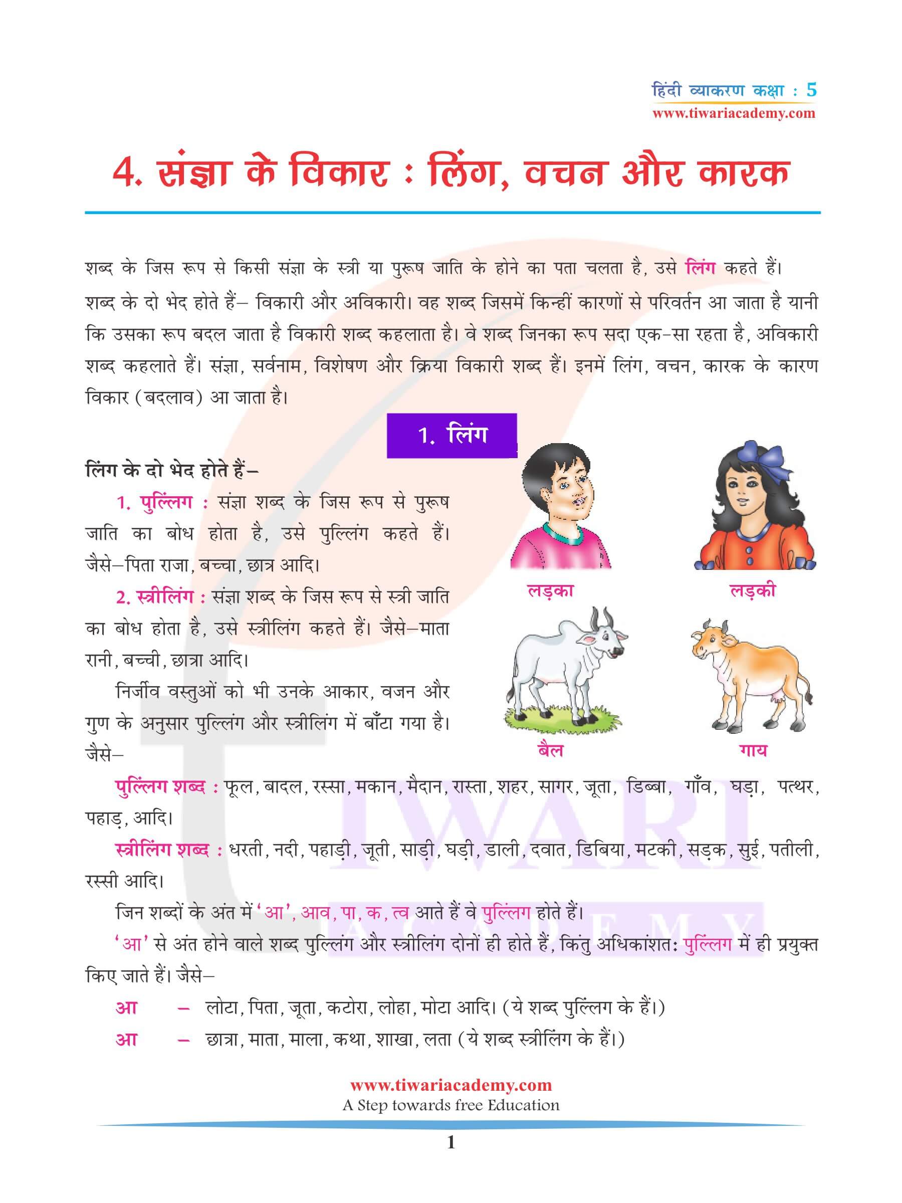 कक्षा 5 हिंदी व्याकरण लिंग, वचन और कारक