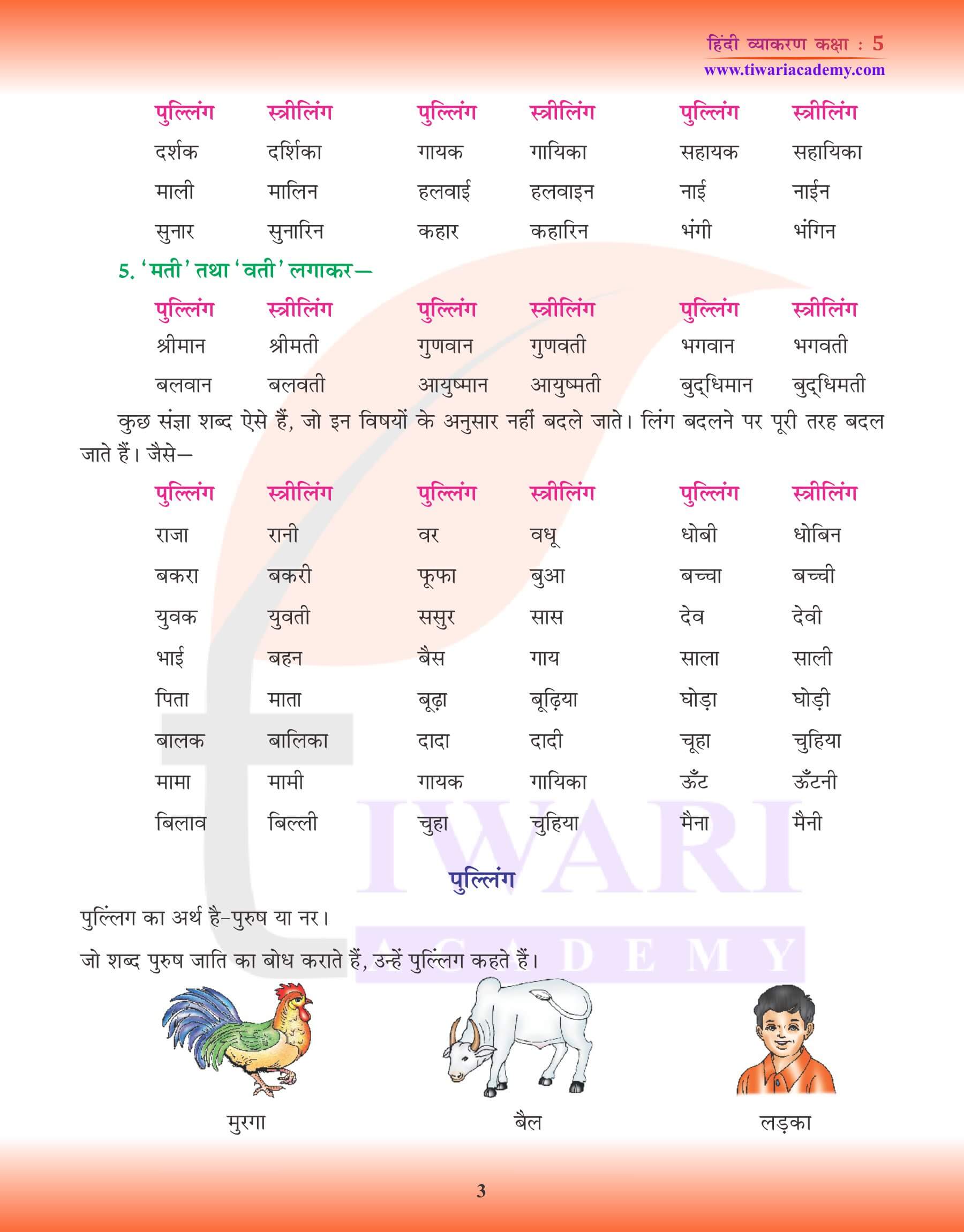 कक्षा 5 हिंदी व्याकरण लिंग बदलो