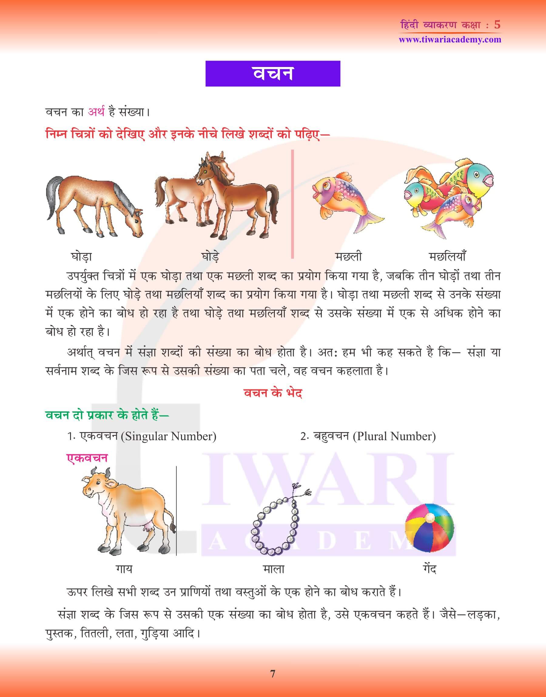 कक्षा 5 हिंदी व्याकरण वचन के उदाहरण