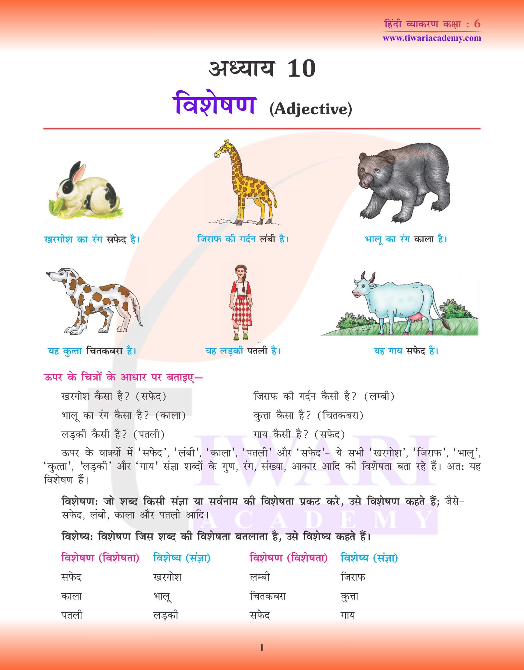 कक्षा 6 हिंदी व्याकरण पाठ 10 विशेषण अभ्यास