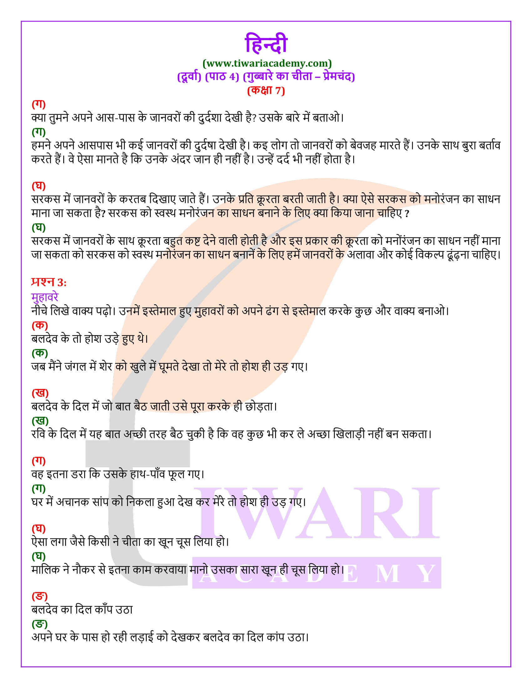 कक्षा 7 हिंदी दूर्वा अध्याय 4 गुब्बारे पर चीता