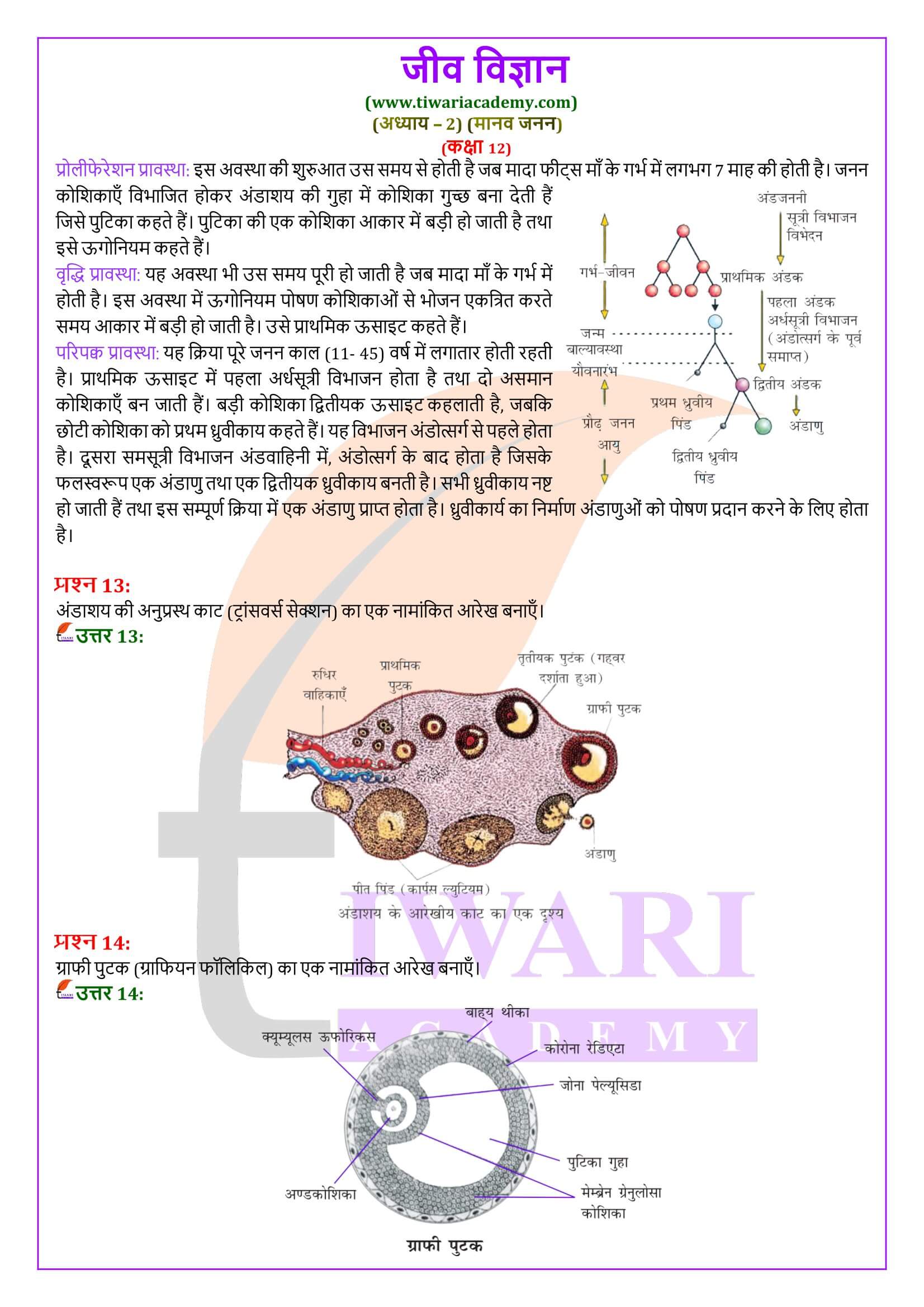 कक्षा 12 जीव विज्ञान अध्याय 2 के सवाल जवाब हिंदी में