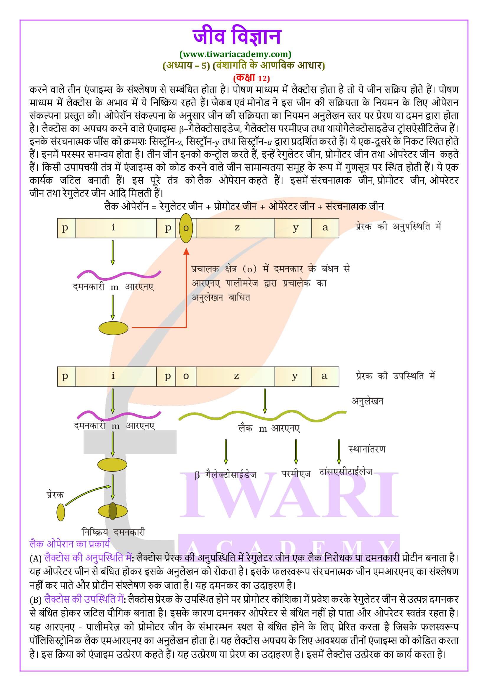 कक्षा 12 जीव विज्ञान अध्याय 5 हिंदी में हल