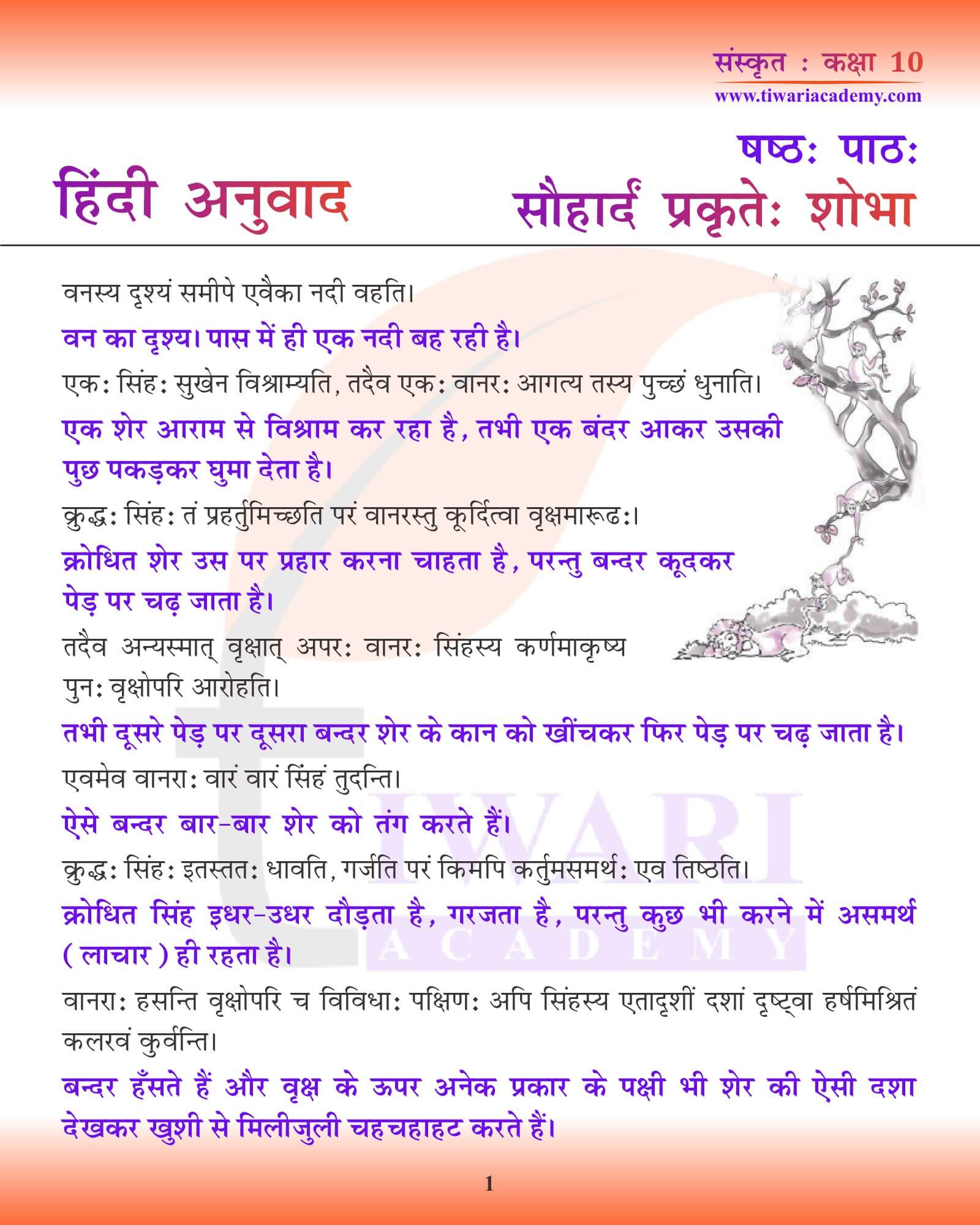 कक्षा 10 संस्कृत अध्याय 6 हिंदी में अनुवाद