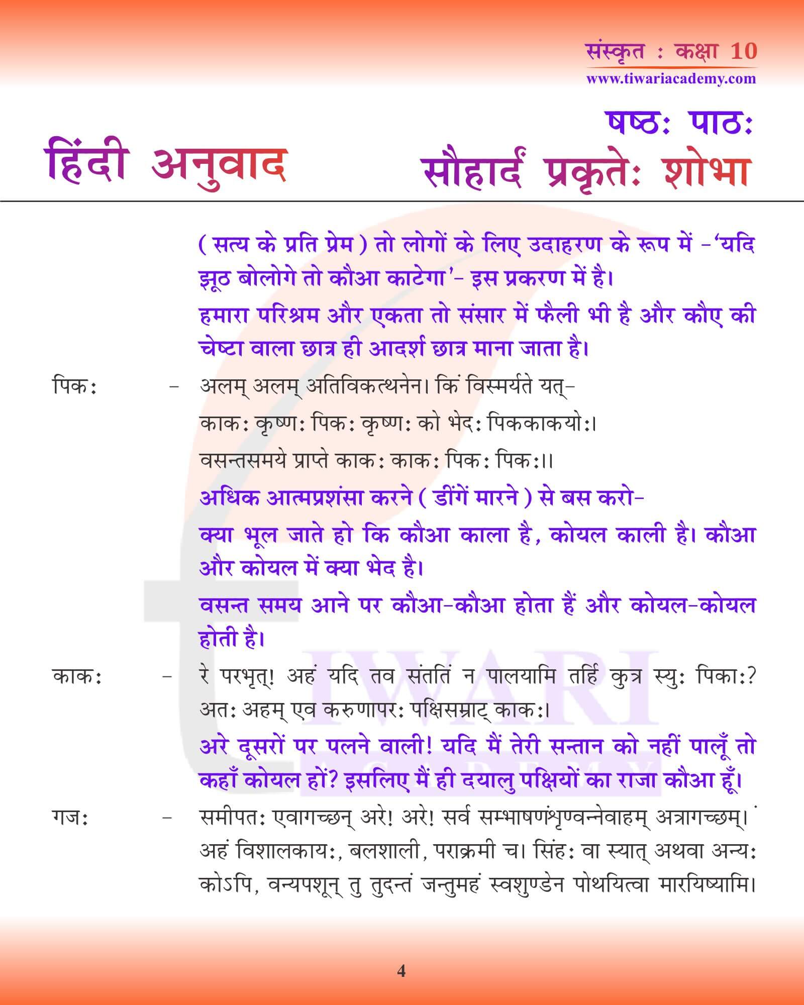 कक्षा 10 संस्कृत अध्याय 6 हिंदी