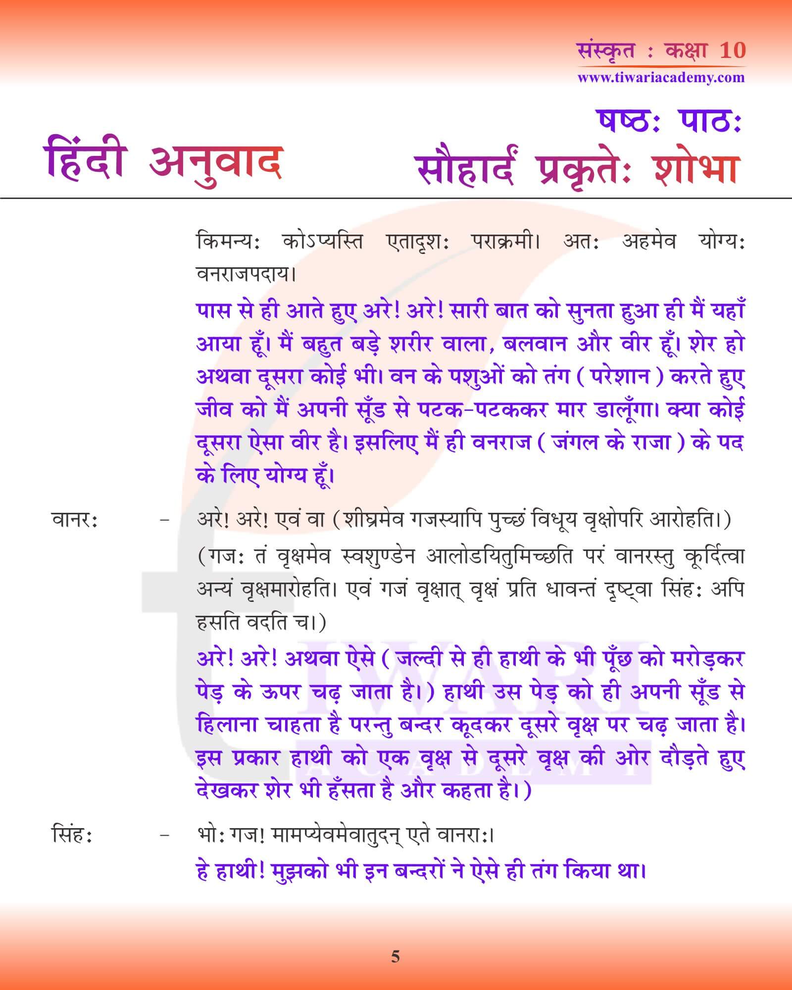 कक्षा 10 संस्कृत अध्याय 6 हिंदी ट्रांसलेशन