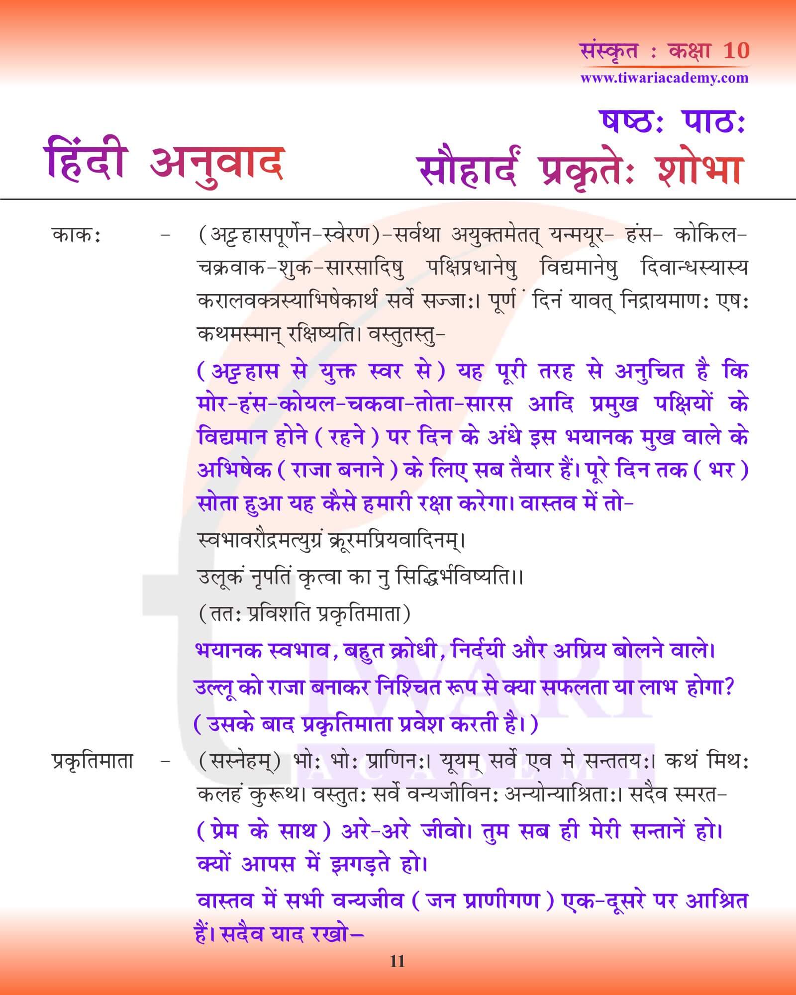 कक्षा 10 संस्कृत अध्याय 6 हिंदी में रूपांतरित