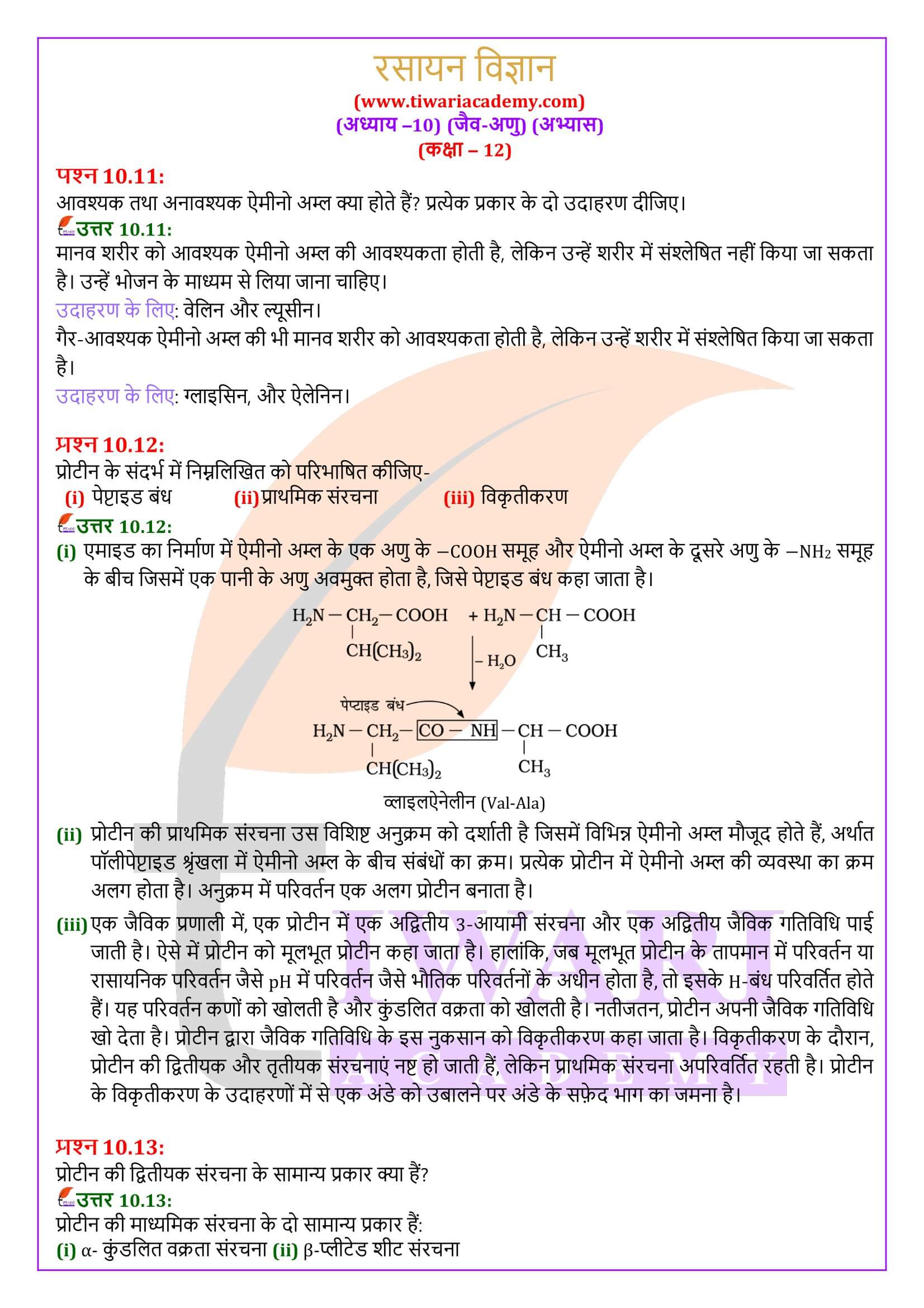 एनसीईआरटी समाधान कक्षा 12 रसायन विज्ञान अध्याय 10 के उत्तर हिंदी में