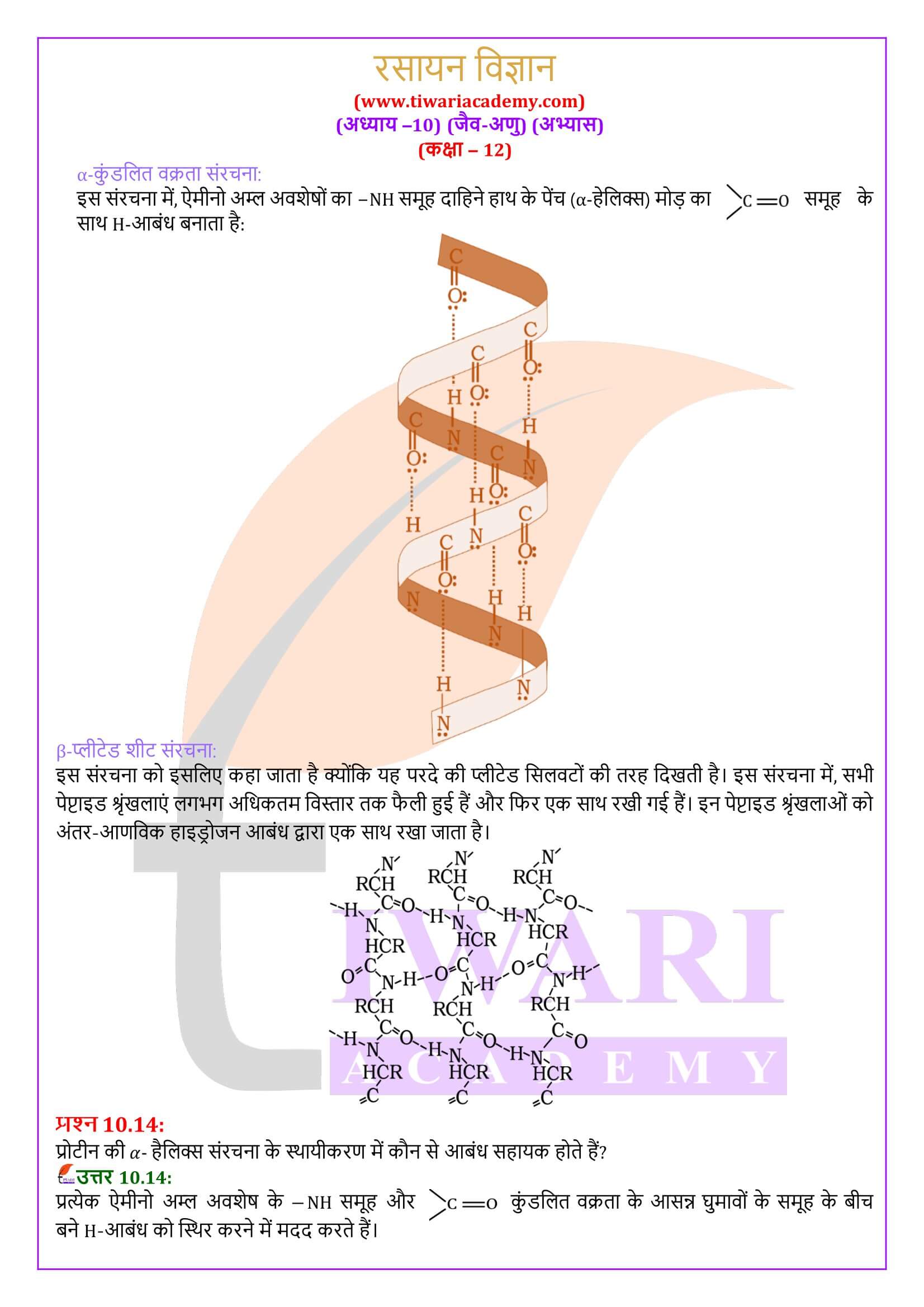 एनसीईआरटी समाधान कक्षा 12 रसायन विज्ञान अध्याय 10 हिंदी मीडियम में