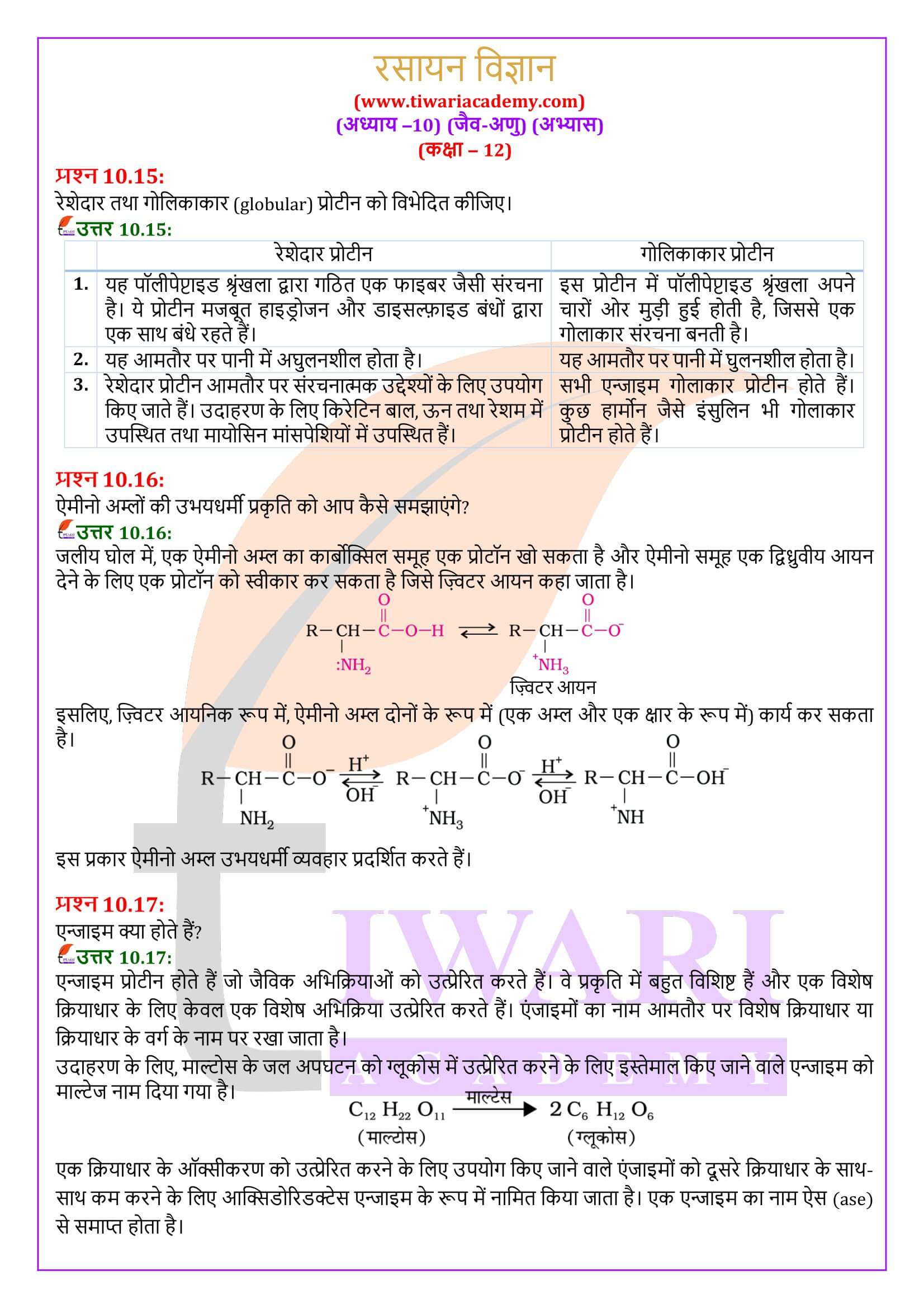 एनसीईआरटी समाधान कक्षा 12 रसायन विज्ञान अध्याय 10 हिंदी में उत्तर