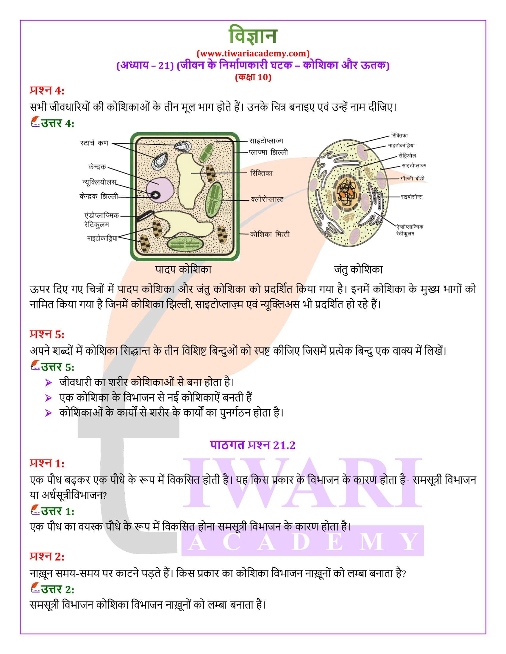 NIOS के लिए कक्षा 10 विज्ञान अध्याय 21 हिंदी मीडियम