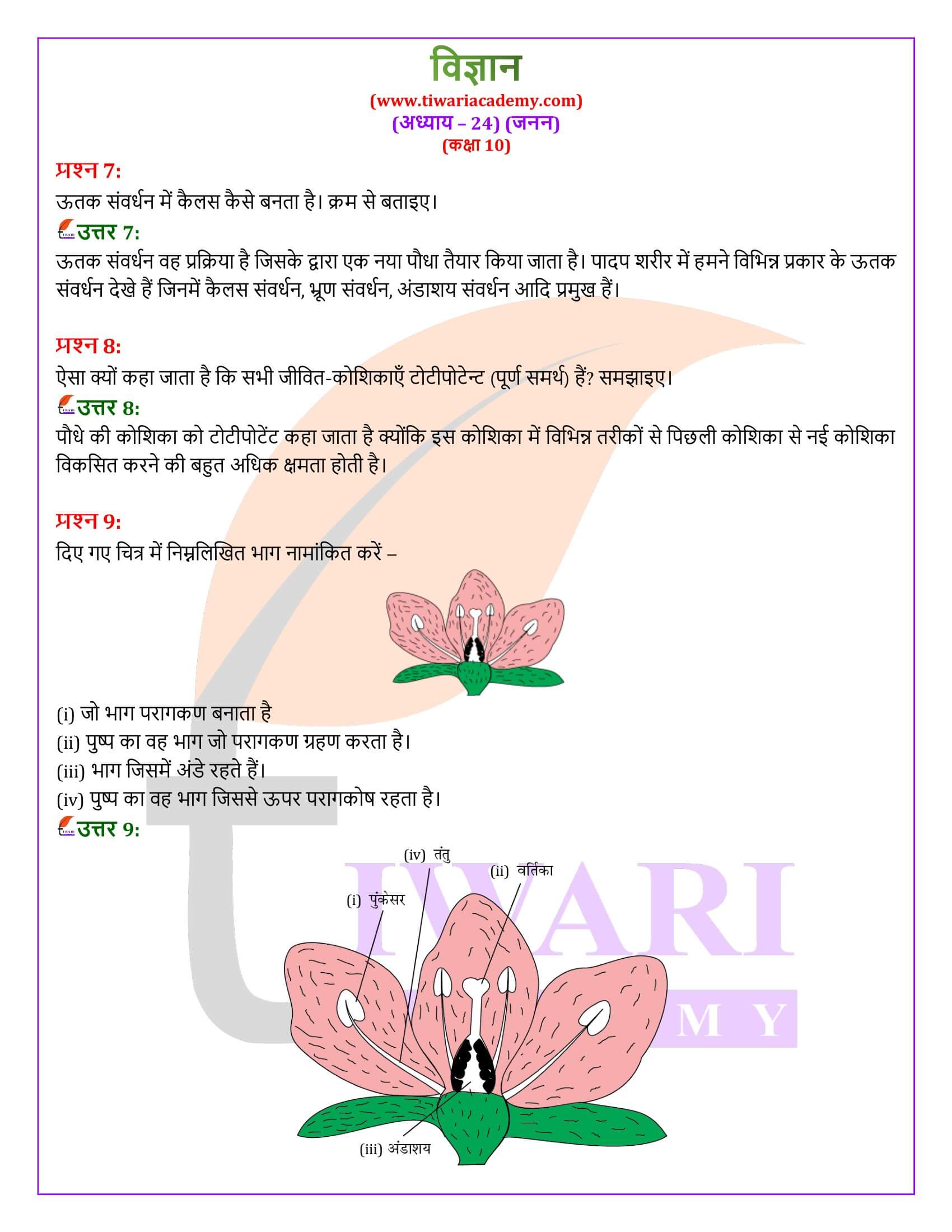 NIOS कक्षा 10 विज्ञान अध्याय 24 के उत्तर हिंदी में