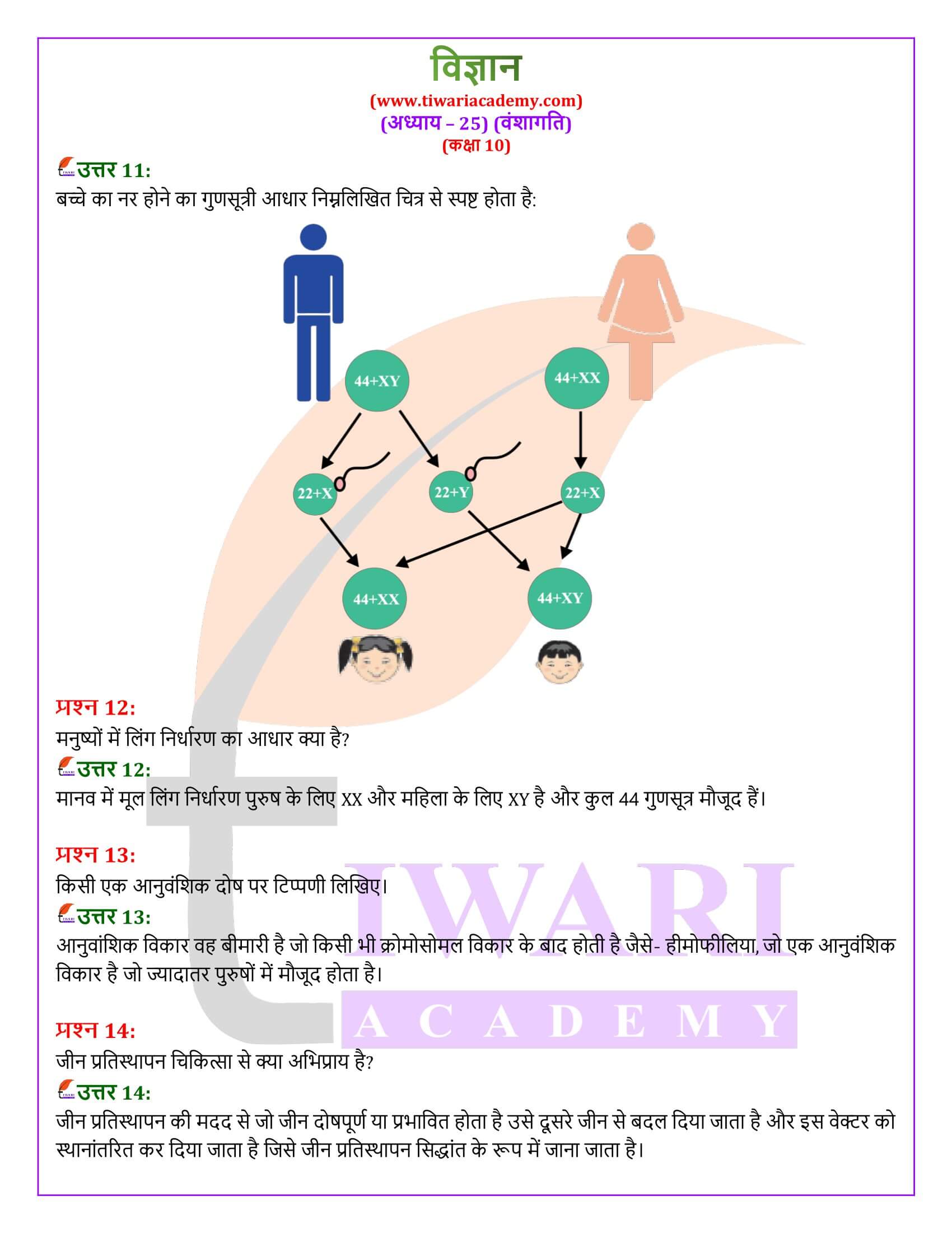 NIOS के लिए कक्षा 10 विज्ञान अध्याय 25 हिंदी में