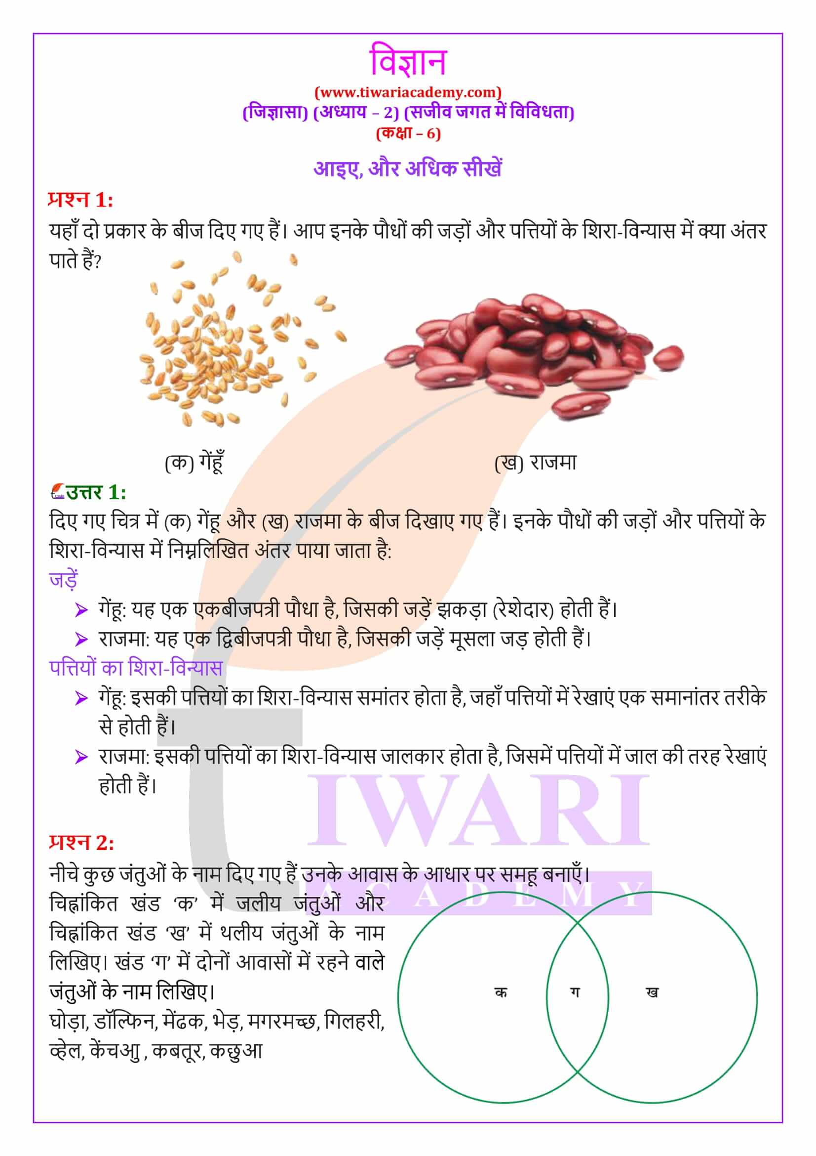 एनसीईआरटी समाधान कक्षा 6 विज्ञान जिज्ञासा अध्‍याय 2