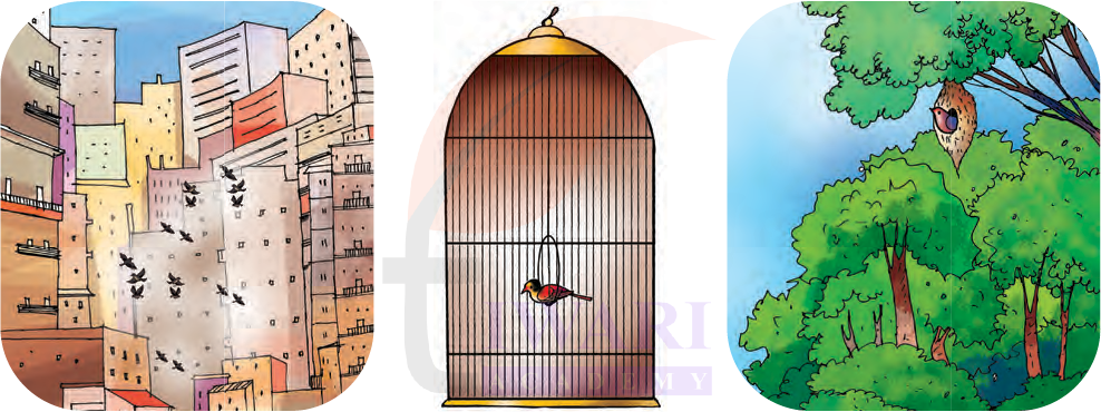 कक्षा 7 हिंदी मल्हार पाठ 9 प्रश्न 3