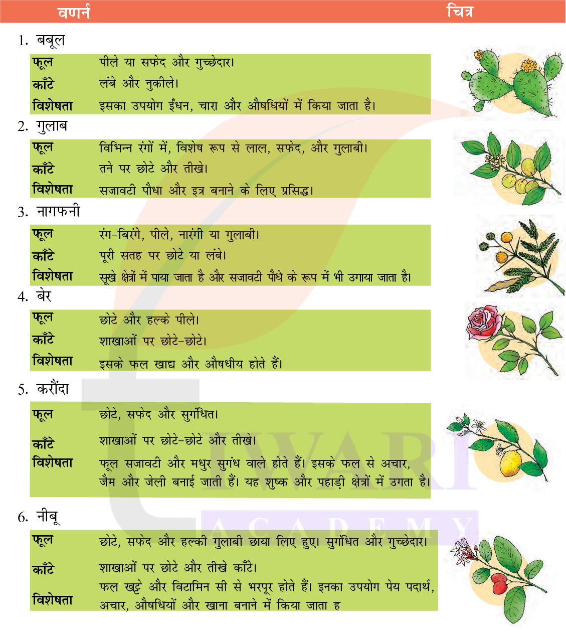 कक्षा 7 हिंदी मल्हार अध्याय 3 प्रश्न 7