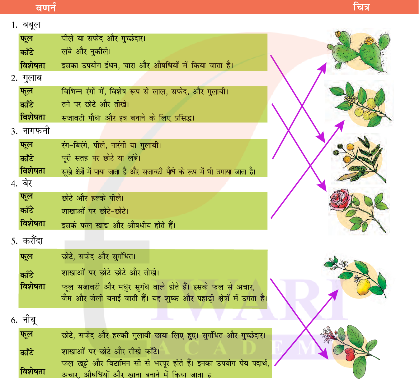 कक्षा 7 हिंदी मल्हार अध्याय 3 उत्तर 7