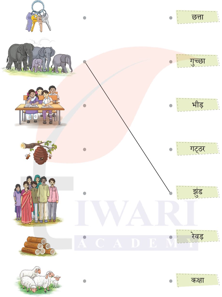 कक्षा 5 हिंदी वीणा अध्याय 8 चित्र 3