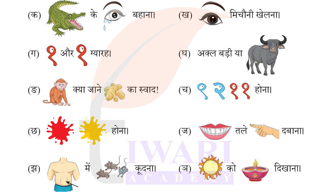 कक्षा 5 हिंदी वीणा अध्याय 9 चित्र 4