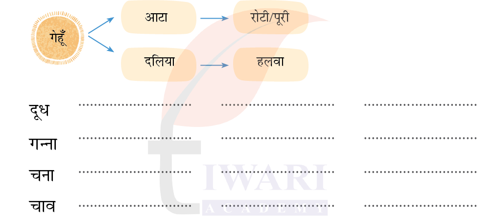 कक्षा 5 हिंदी वीणा अध्याय 4 चित्र 1