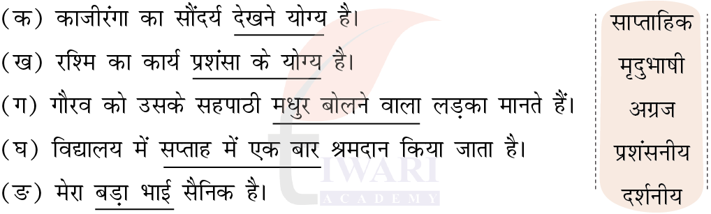 कक्षा 5 हिंदी वीणा अध्याय 8 चित्र 6