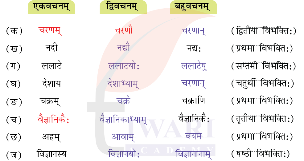 कक्षा 7 संस्कृत दीपकम् अध्याय 1 के प्रश्न 4 के उत्तर का चित्र