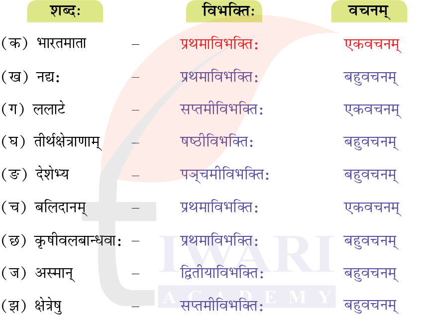 कक्षा 7 संस्कृत दीपकम् अध्याय 1 के प्रश्न 6 के उत्तर का चित्र