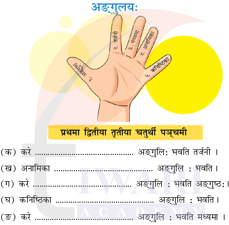 कक्षा 7 संस्कृत दीपकम् अध्याय 10 के प्रश्न 3 का चित्र