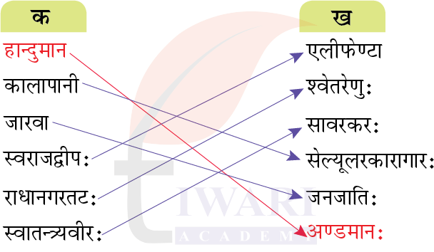 कक्षा 7 संस्कृत दीपकम् अध्याय 11 के प्रश्न 1 के उत्तर का चित्र