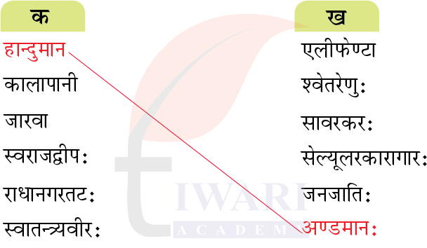 कक्षा 7 संस्कृत दीपकम् अध्याय 11 के प्रश्न 1 का चित्र