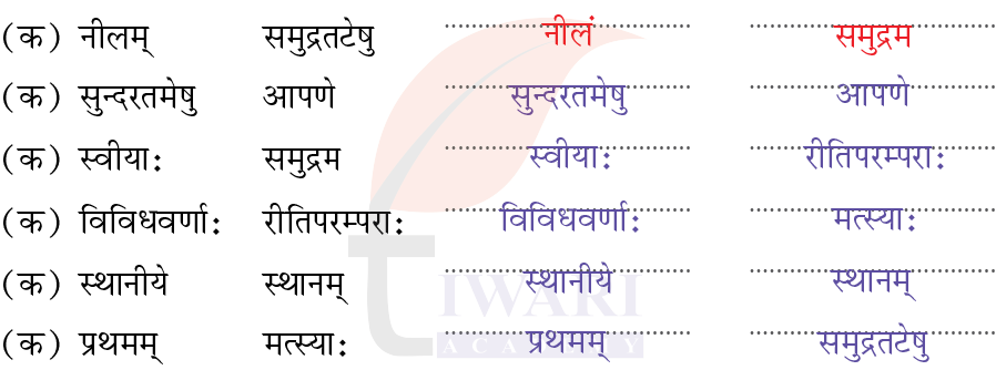 कक्षा 7 संस्कृत दीपकम् अध्याय 11 के प्रश्न 4 के उत्तर का चित्र