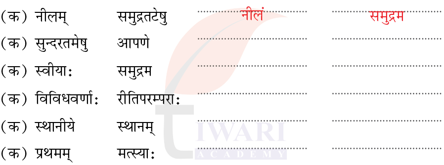 कक्षा 7 संस्कृत दीपकम् अध्याय 11 के प्रश्न 4 का चित्र