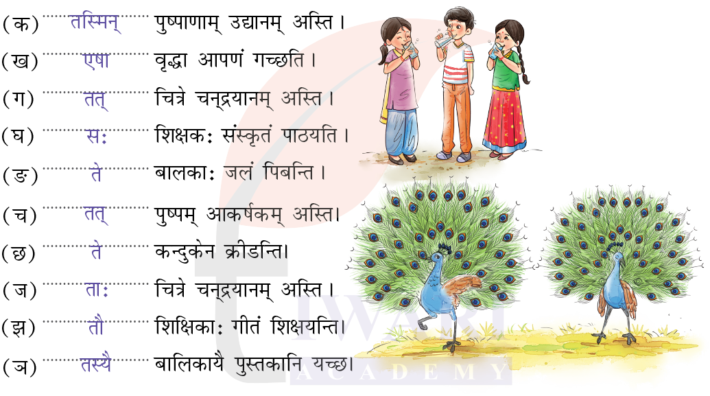 कक्षा 7 संस्कृत दीपकम् अध्याय 11 के प्रश्न 6 के उत्तर का चित्र