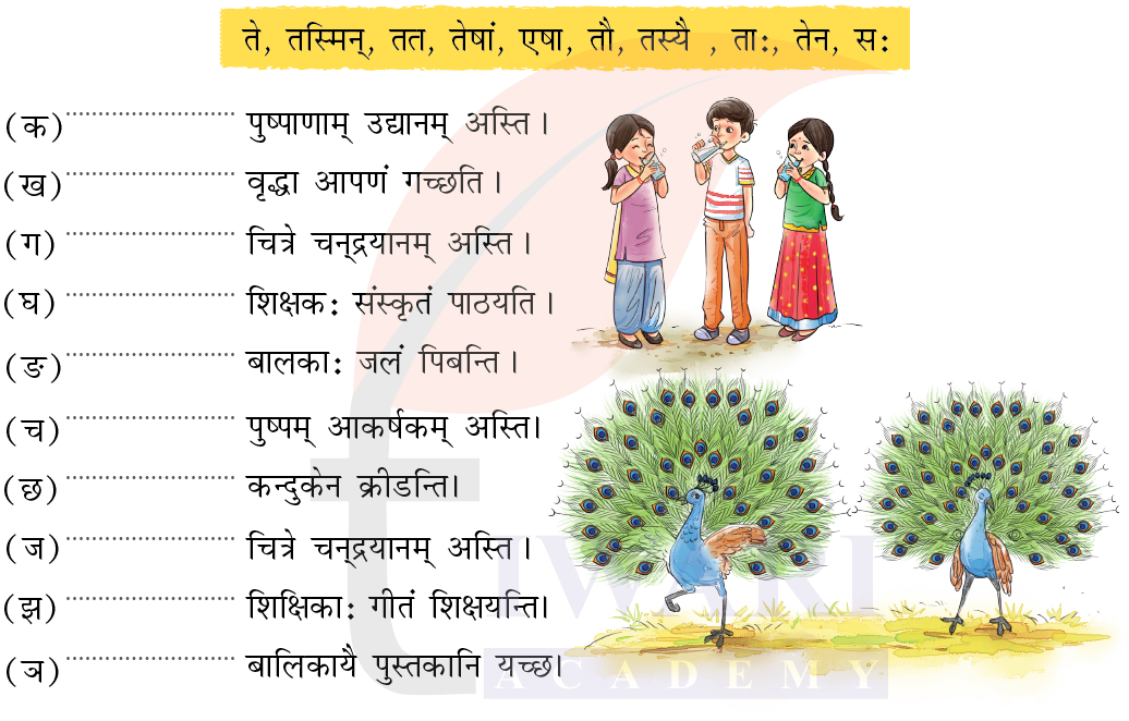 कक्षा 7 संस्कृत दीपकम् अध्याय 11 के प्रश्न 6 का चित्र