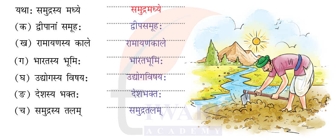 कक्षा 7 संस्कृत दीपकम् अध्याय 11 के प्रश्न 8 के उत्तर का चित्र