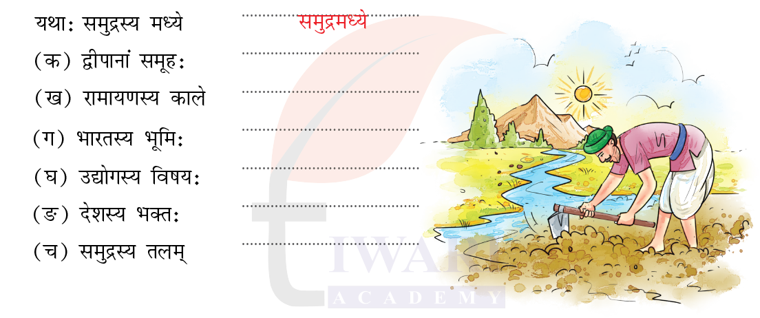 कक्षा 7 संस्कृत दीपकम् अध्याय 11 के प्रश्न 8 का चित्र