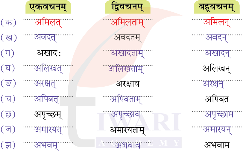 कक्षा 7 संस्कृत दीपकम् अध्याय 12 के प्रश्न 3 के उत्तर का चित्र