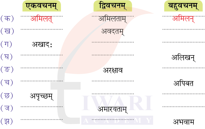 कक्षा 7 संस्कृत दीपकम् अध्याय 12 के प्रश्न 3 का चित्र