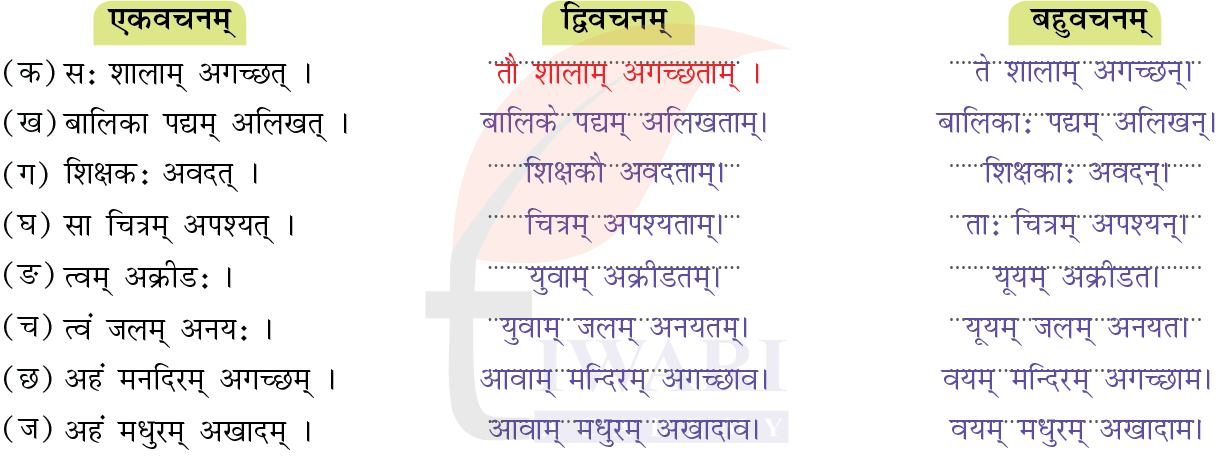 कक्षा 7 संस्कृत दीपकम् अध्याय 12 के प्रश्न 4 के उत्तर का चित्र