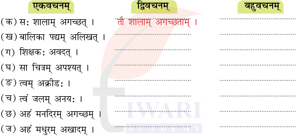 कक्षा 7 संस्कृत दीपकम् अध्याय 12 के प्रश्न 4 का चित्र