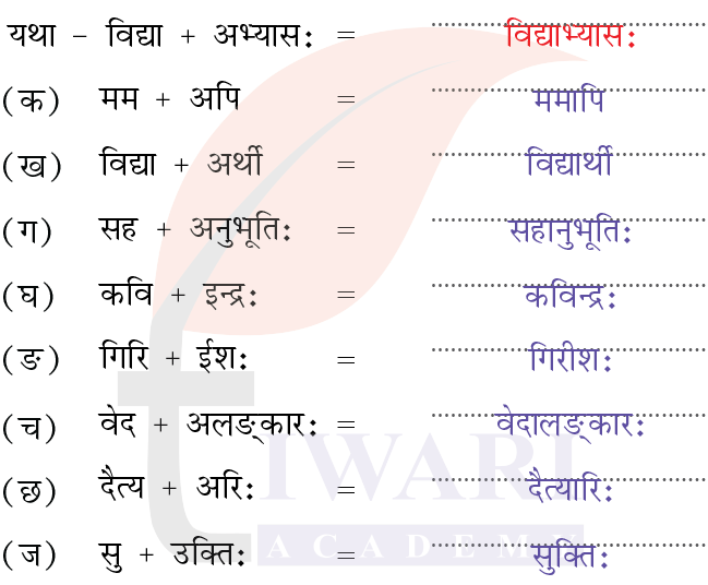 कक्षा 7 संस्कृत दीपकम् अध्याय 12 के प्रश्न 6 के उत्तर का चित्र